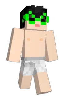 gujun8670 Minecraft avatar full body