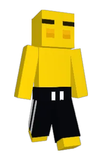 gulfish Minecraft avatar full body