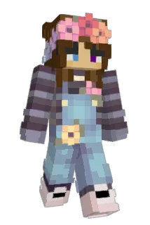 gunicat Minecraft avatar full body