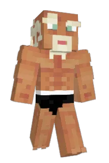 guzou Minecraft avatar full body