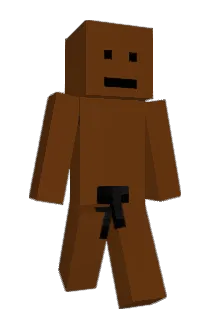 h080_j03 Minecraft avatar full body