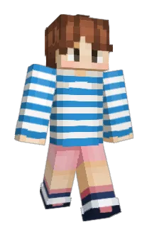 h0eseok Minecraft avatar full body