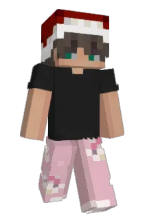 h2em Minecraft avatar full body