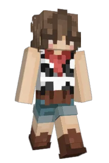 h4is3 Minecraft avatar full body