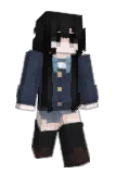 h6dt Minecraft avatar full body