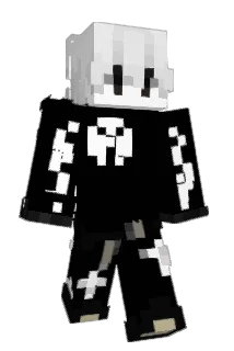 h9ds Minecraft avatar full body