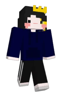 h_wr_ Minecraft avatar full body