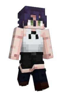 ha753951 Minecraft avatar full body