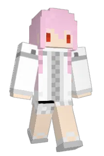 haasin8888 Minecraft avatar full body