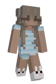 haayden Minecraft avatar full body