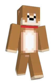 hachi81 Minecraft avatar full body