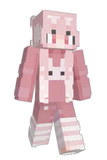 haegong20 Minecraft avatar full body