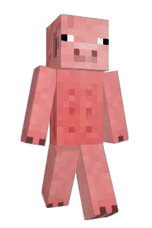 haejun61 Minecraft avatar full body