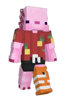 hahn_ml Minecraft avatar full body