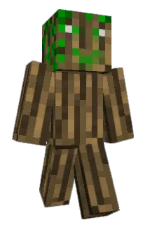 haiiiAshley Minecraft avatar full body
