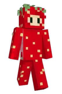 haileyfw6 Minecraft avatar full body