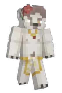 hairytheeth Minecraft avatar full body