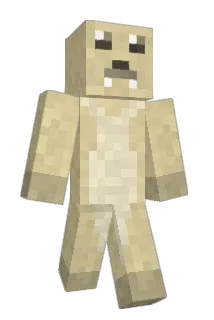 hakkiiv Minecraft avatar full body