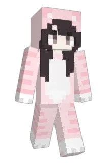 hakoi Minecraft avatar full body