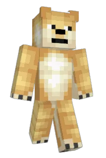 hakub_ Minecraft avatar full body