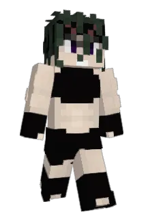 hakudayoooo Minecraft avatar full body