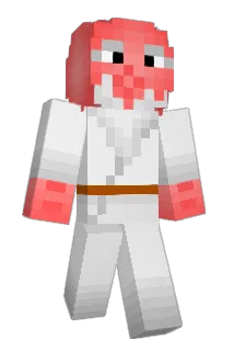 halif9702 Minecraft avatar full body