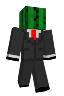 haloneko Minecraft avatar full body