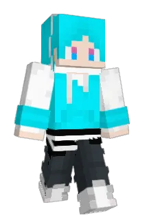 ham2441 Minecraft avatar full body