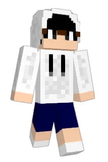 ham_park Minecraft avatar full body