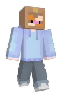 hamcu Minecraft avatar full body