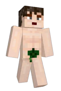 hamey2004 Minecraft avatar full body