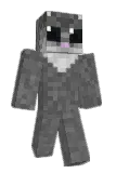 hamsterboii Minecraft avatar full body