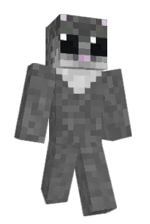 hamsterboii Minecraft avatar full body
