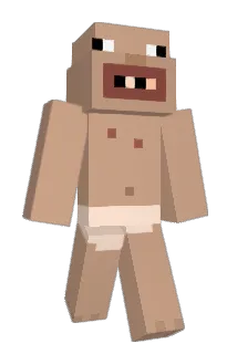 hanagui Minecraft avatar full body