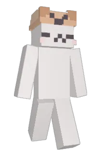 handsomeDuck12 Minecraft avatar full body