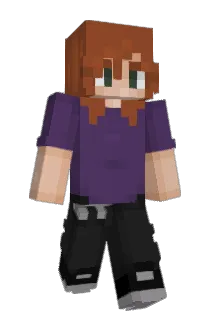 handsomenapkin Minecraft avatar full body