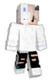 hankgostosaoo_ Minecraft avatar full body