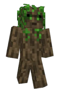 hannwall Minecraft avatar full body