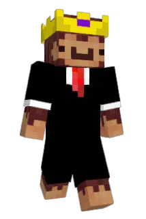 hanoj_ Minecraft avatar full body