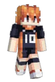 hapoid Minecraft avatar full body