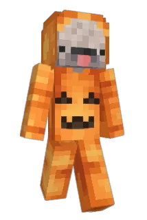 hardokay Minecraft avatar full body