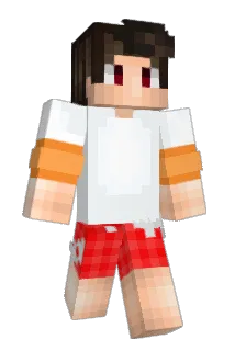 harel9 Minecraft avatar full body