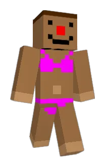 hasheepda Minecraft avatar full body