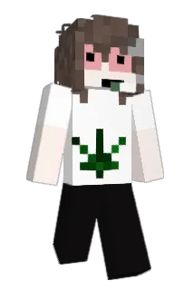 hassonlol Minecraft avatar full body