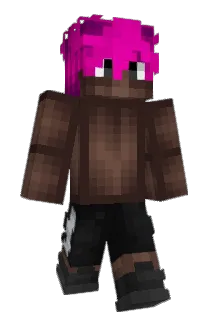hasvn Minecraft avatar full body