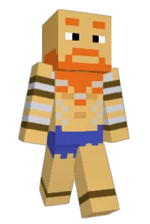 havefun2 Minecraft avatar full body