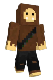 havequads Minecraft avatar full body