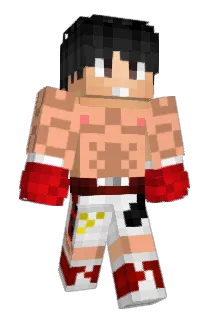 haxe25 Minecraft avatar full body