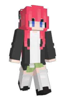 haxtor21 Minecraft avatar full body