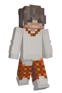 hayden173 Minecraft avatar full body